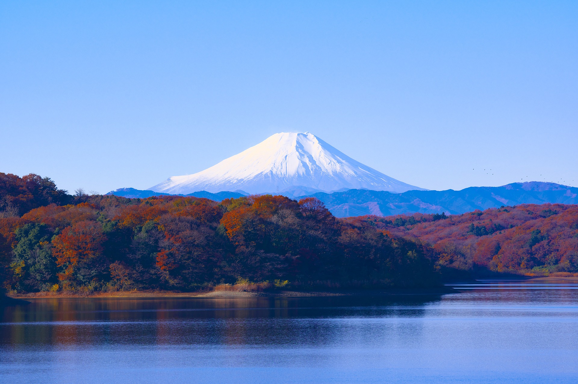 Japan: Sakura Season | 12D/11N