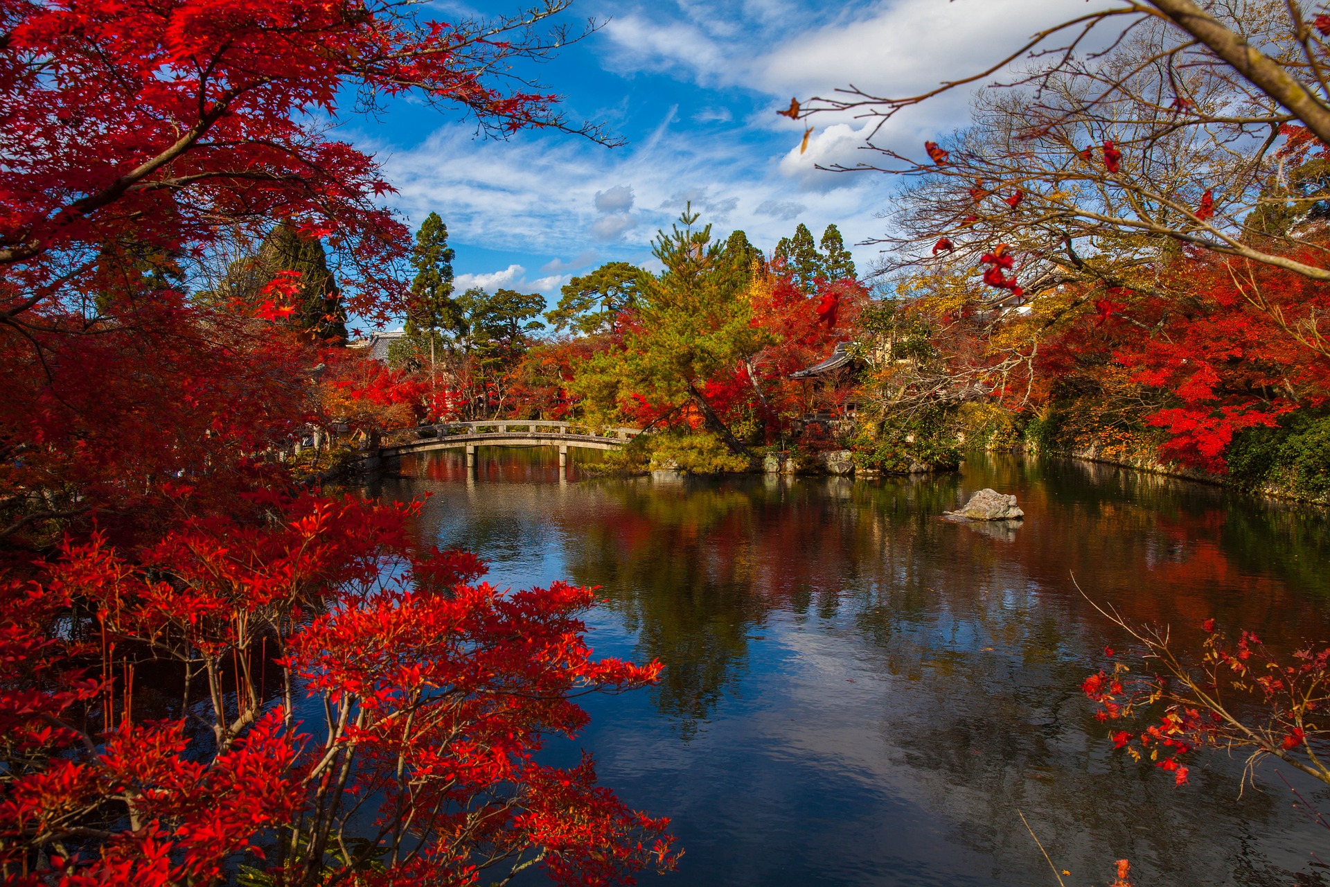 Japan: Sakura Season | 12D/11N