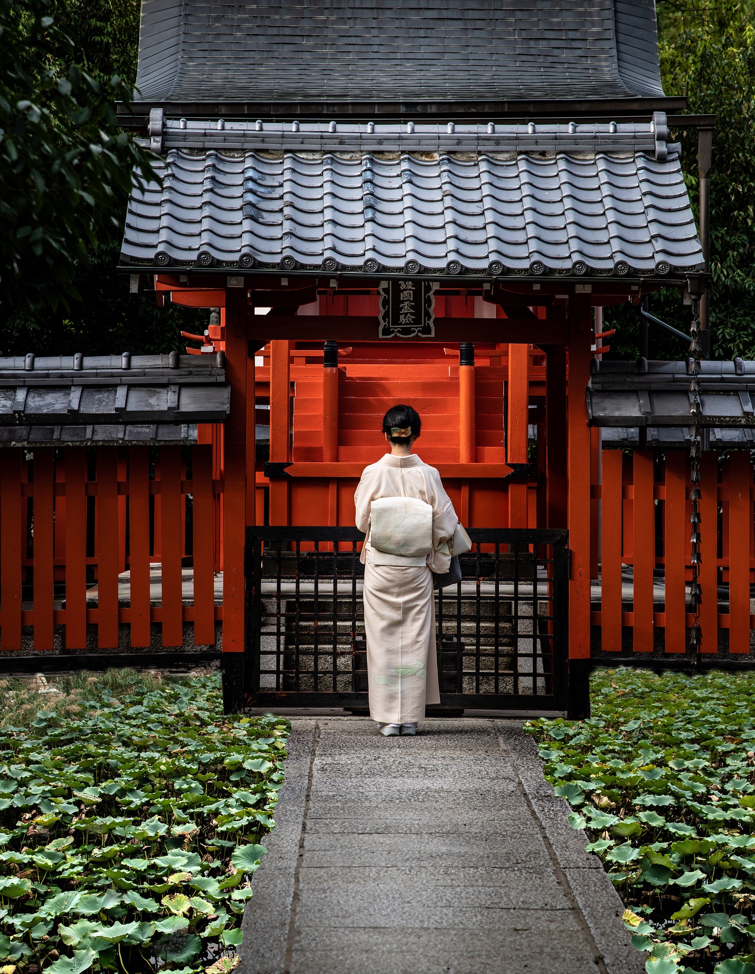 Japan: Sakura Season | 12D/11N